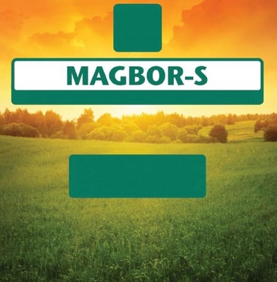 MAGBOR-S