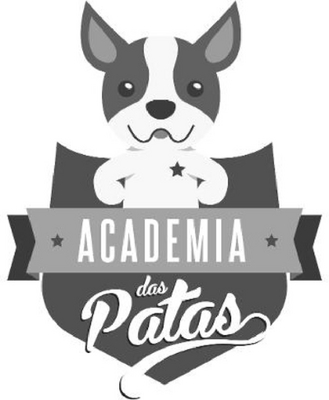 ACADEMIA DAS PATAS