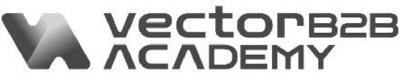 VECTORB2B ACADEMY