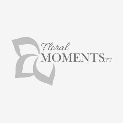 FLORAL MOMENTS.PT