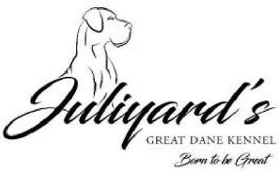 JULIYARD'S GREAT DANE KENNEL BORN TO BE GREAT