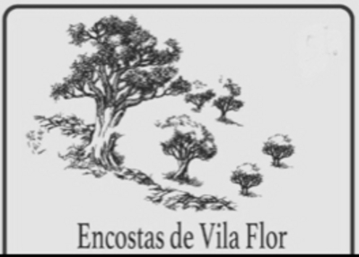 ENCOSTAS DE VILA FLOR