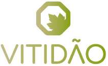 VITIDÃO