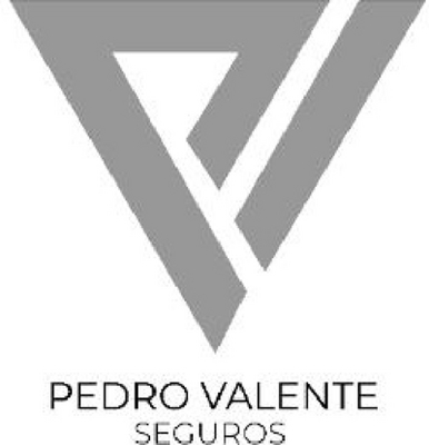 PEDRO VALENTE SEGUROS