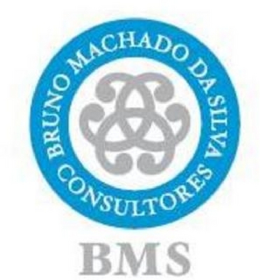 BRUNO MACHADO DA SILVA CONSULTORES BMS