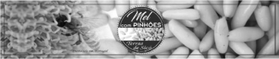 MEL COM PINHÕES TERRAS DE SICÓ PRODUZIDO EM PORTUGAL