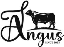 A J ANGUS SINCE 2023