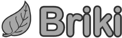 BRIKI
