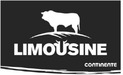 LIMOUSINE CONTINENTE