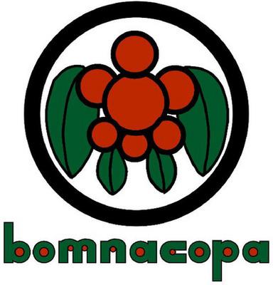 BOM NA COPA