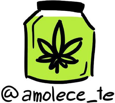 @AMOLECE_TE