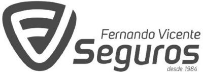 FERNANDO VICENTE FV SEGUROS