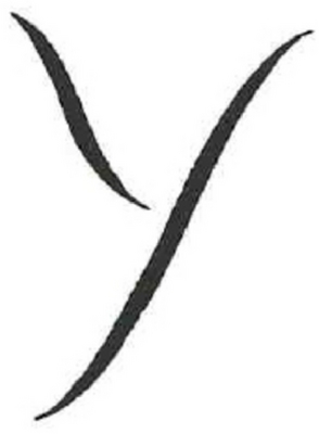 Y