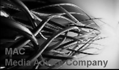 MAC®  MEDIA ADVICE COMPANY