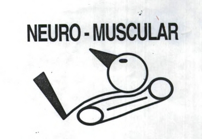 NEURO-MUSCULAR