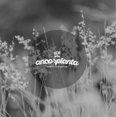 ANCORPLANTA - VENDA DE PLANTAS