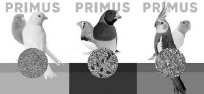PRIMUS PRIMUS PRIMUS