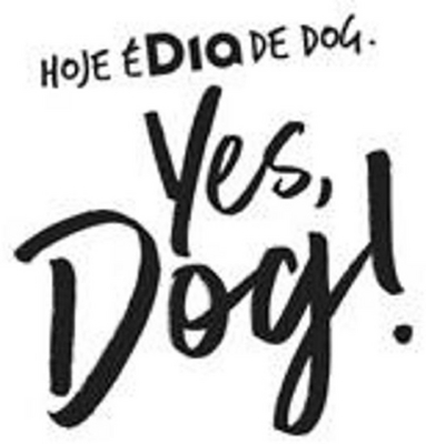 YES, DOG! HOJE É DIA DE DOG.