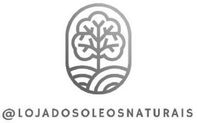 @LOJADOSOLEOSNATURAIS
