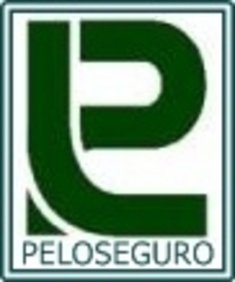 PELOSEGURO