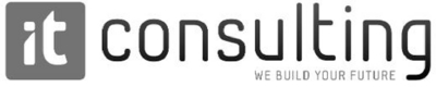 IT CONSULTING WE BUILD YOUR FUTURE