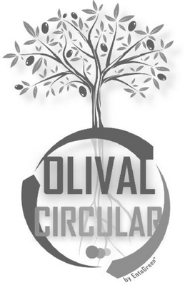 OLIVAL CIRCULAR BY ENTOGREEN
