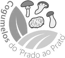 COGUMELOS DO PRADO AO PRATO