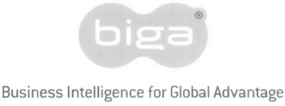 BIGA - BUSINESS INTELLIGENCE FOR GLOBAL ADVANTAGE