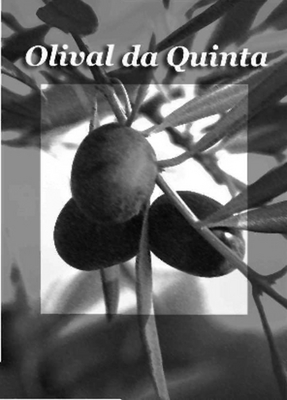 OLIVAL DA QUINTA