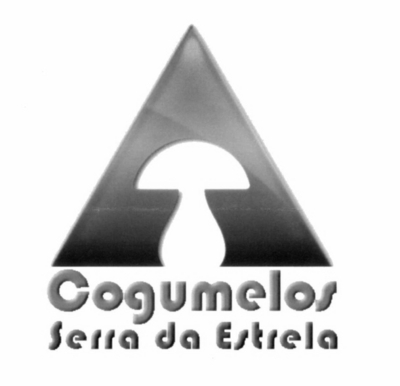 COGUMELOS SERRA DA ESTRELA