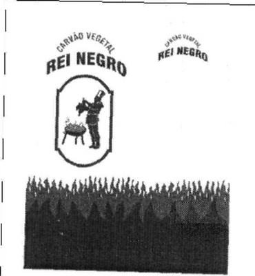 CARVÃO VEGETAL REI NEGRO