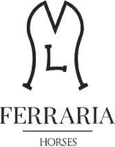LM FERRARIA HORSES