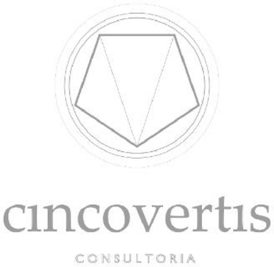 CINCOVERTIS CONSULTORIA