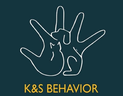 K&S BEHAVIOR