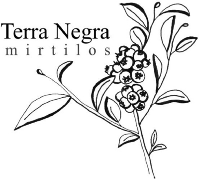 TERRA NEGRA MIRTILOS