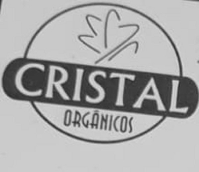 CRISTAL ORGÂNICOS