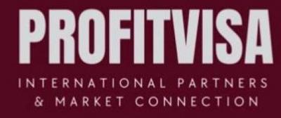 PROFITVISA INTERNATIONAL PARTNERS & MARKET CONNECTION