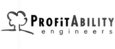 PROFITABILITY ENGINEERS