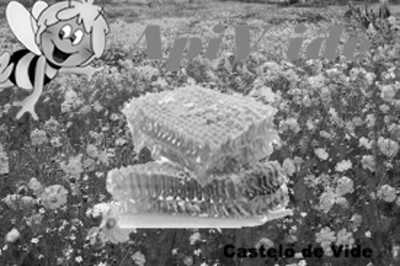APIVIDE CASTELO DE VIDE