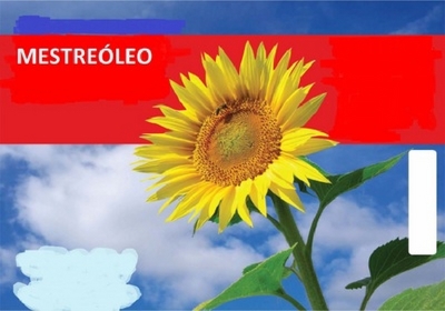 MESTREÓLEO