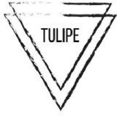 TULIPE