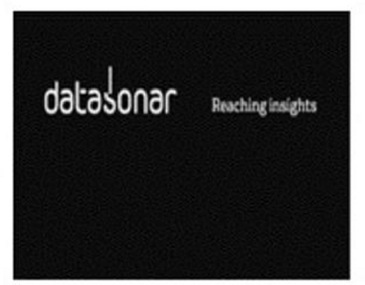 DATASONAR REACHING INSIGHTS