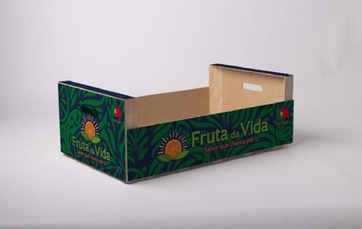 FRUTA DA VIDA ; SABOR QUE CHAMA POR TI