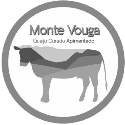 MONTE VOUGA QUEIJO CURADO APIMENTADO
