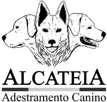 ALCATEIA ADESTRAMENTO CANINO