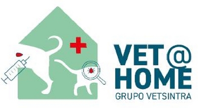 VET@HOME GRUPO VETSINTRA