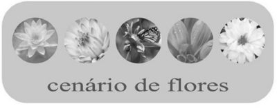 CENÁRIO DE FLORES