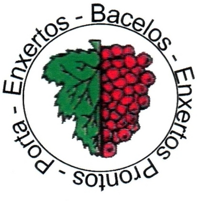 ENXERTOS- BACELOS- ENXERTOS PRONTOS- PORTA