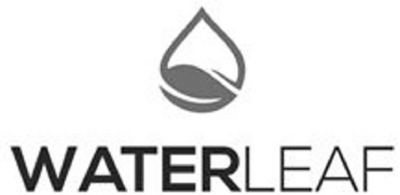 WATERLEAF