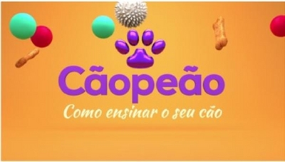 CÃOPEÃO COMO ENSINAR O SEU CÃO